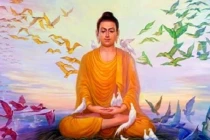 Vô sinh có 3 quan hệ nhân quả, đừng vì thiếu hiểu biết mà phải gánh nghiệp