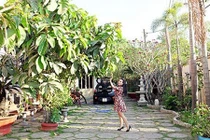 Thăm nhà tràn ngập cây xanh của diễn viên “Vó ngựa trời Nam”
