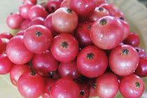 Thần dược ngừa ung thư giúp bạn cả đời không mắc tim mạch