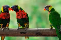 Cảm ơn chị, người đàn bà yêu thương chồng tôi