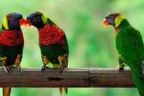 Cảm ơn chị, người đàn bà yêu thương chồng tôi