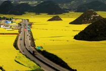 Bài học “Về nhà đi con” ai cũng nên thực hiện trước khi quá muộn