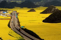 Bài học “Về nhà đi con” ai cũng nên thực hiện trước khi quá muộn