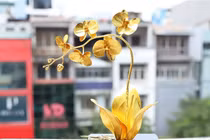 Thú đốt tiền ngày Tết của nhà giàu Việt