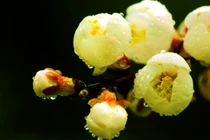 Sinh ngày Âm lịch này, sang tháng 9 sự nghiệp khởi sắc, mọi sự hanh thông