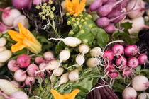 Video: Khu vườn chuyên trồng rau củ tí hon cho các nhà hàng tốt nhất thế giới