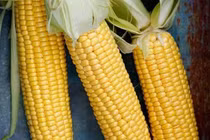  4 loại thực phẩm ăn điều độ để có cơ thể khỏe mạnh