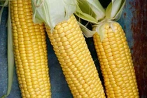  4 loại thực phẩm ăn điều độ để có cơ thể khỏe mạnh