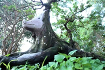 Cây khế giá nửa tỷ được tạo hình linh vật năm Kỷ Hợi ở Sài Gòn