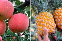 5 loại quả thơm ngọt giúp hạ đường huyết cực nhanh, ngừa biến chứng