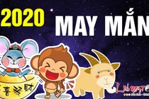 Video: Chỉ cần làm điều này 3 con giáp sẽ thành công, may mắn vây quanh