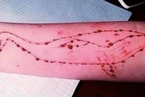 Cảnh báo tựa game khiến nhiều bạn trẻ tự sát