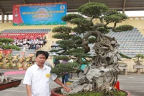 Kiệt tác sanh cổ “thác đổ ngồi đá” hiếm có của đại gia Phú Thọ