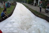 Tình tiết mới vụ lớp bọt lạ phủ trắng khiến cá chết hàng loạt