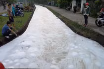 Tình tiết mới vụ lớp bọt lạ phủ trắng khiến cá chết hàng loạt