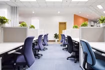 Nam sinh thực tập bật khóc giữa phòng sếp nữ