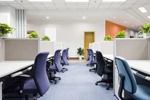 Nam sinh thực tập bật khóc giữa phòng sếp nữ