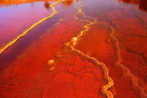 Những dòng sông nguy hiểm nhất thế giới 