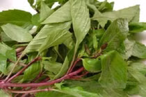 Răng trắng như bọc sứ chỉ với nắm lá vài nghìn đồng này