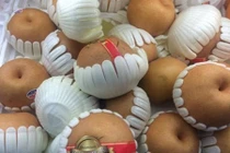 Lê Hàn Quốc giá rẻ giật mình, vừa mua vừa ngại