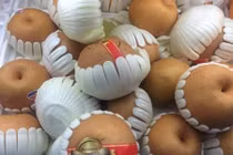 Lê Hàn Quốc giá rẻ giật mình, vừa mua vừa ngại