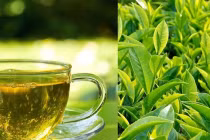 Uống nước trà mỗi ngày, cơ thể thay đổi ra sao?
