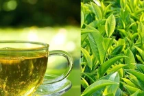 Uống nước trà mỗi ngày, cơ thể thay đổi ra sao?