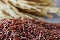 Thời điểm vàng uống nước gạo lứt rang giúp giảm cân