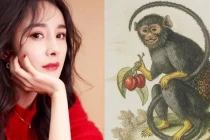 Tháng 4/2021: 3 con giáp thời tới cản không kịp