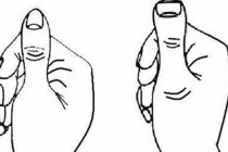 Nhìn ngón tay cái vài giây, biết ngay tương lai làm quan hay làm lính