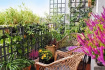 Đưa người tình về nhà, bố giật mình trước câu nói của con trai