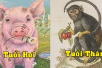 3 con giáp tài lộc đỏ rực, tiền bạc sung túc đón tết Nhâm Dần 2022