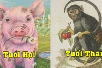 3 con giáp tài lộc đỏ rực, tiền bạc sung túc đón tết Nhâm Dần 2022