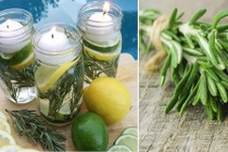 Mãi mãi vắng bóng muỗi khi có hỗn hợp này trong nhà