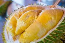 Dân Việt vẫn ăn đều loại sầu riêng đắt nhất thế giới