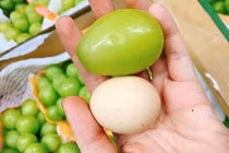 Nho Nhật Bản quả to hơn trứng gà: Giá 7 triệu/chùm