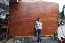 Sập gỗ cẩm "siêu đẹp" 4 tỷ: Chỉ chụp ảnh không nỡ để nằm