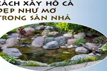 Tự xây hồ cá đẹp như mơ trong sân nhà