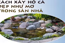 Tự xây hồ cá đẹp như mơ trong sân nhà