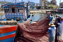 Những “thợ săn” tiền ở vùng biển: Vài giờ thu về hàng trăm triệu