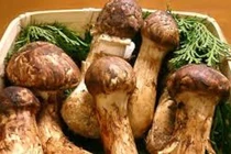 Mùa ăn chay bàng hoàng với những cây nấm giá khoảng 5 chỉ vàng/kg