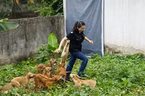 Trang trại "Khuyển vương" tiền tỷ của cô gái 8x Hà thành