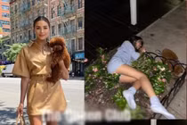 Miss Universe 2012 bị chỉ trích vì say xỉn ngã nằm ngay gốc cây bên đường