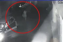 Video: Tài xế hành động "lạ" khiến dân tình bức xúc truy danh tính