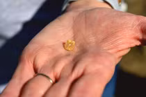 Đi dạo công viên nhặt được viên kim cương khổng lồ tiền tỷ