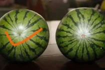 Mẹo giúp bạn chọn dưa hấu ngon ngọt, không cần gõ vào vỏ