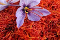 Video: 15 nguyên liệu đắt nhất thế giới hơn cả kim cương