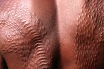 Nghi lễ "xẻ thịt" biến mình thành cá sấu của bộ lạc Chambi