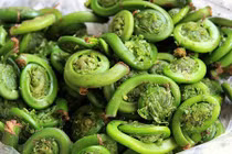 Phát hiện thêm loại rau trường thọ mọc đầy ở Việt Nam