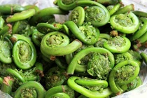 Phát hiện thêm loại rau trường thọ mọc đầy ở Việt Nam